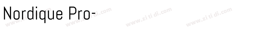 Nordique Pro字体转换